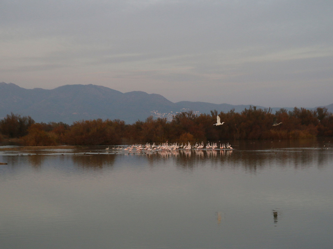 Parc Natural dels Aiguamolls de l'Emporda-罗塞斯必去景点