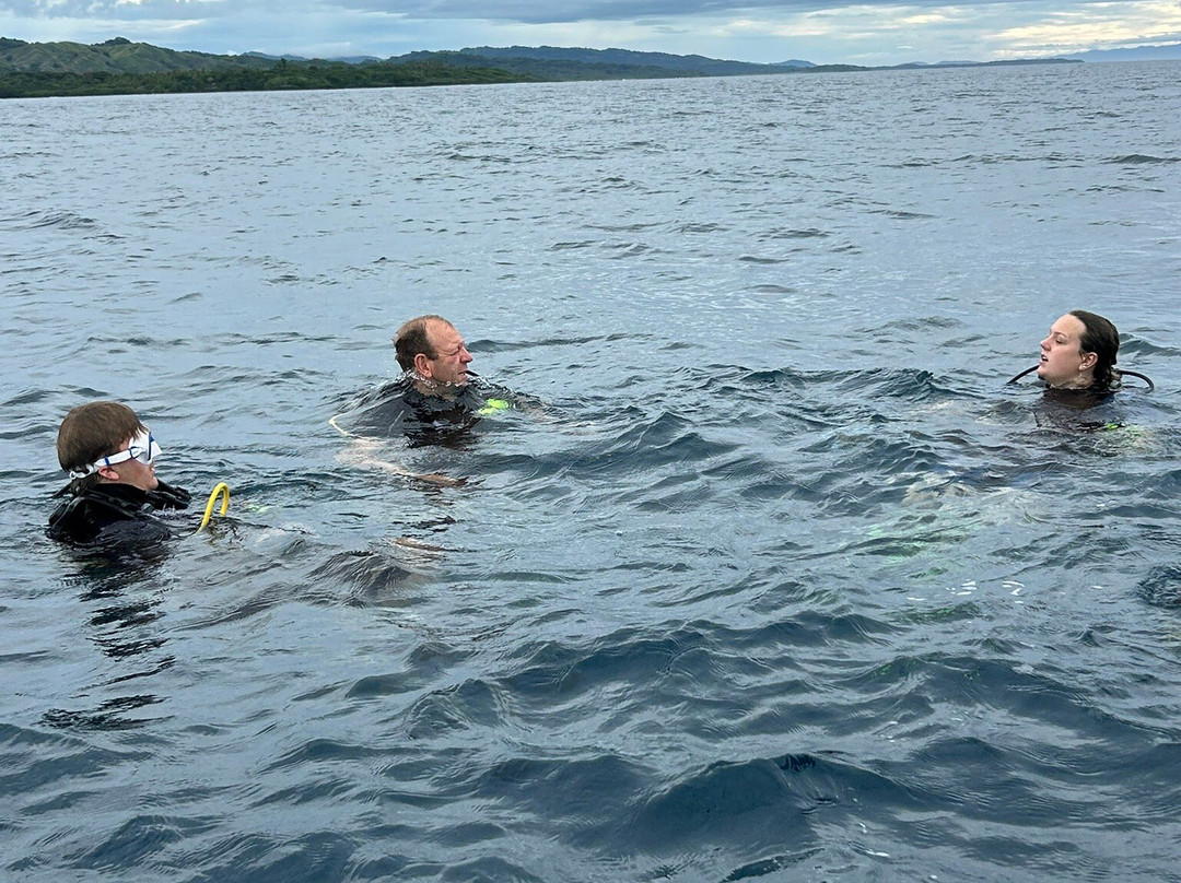 Dive Savusavu Fiji-萨武萨武必去景点