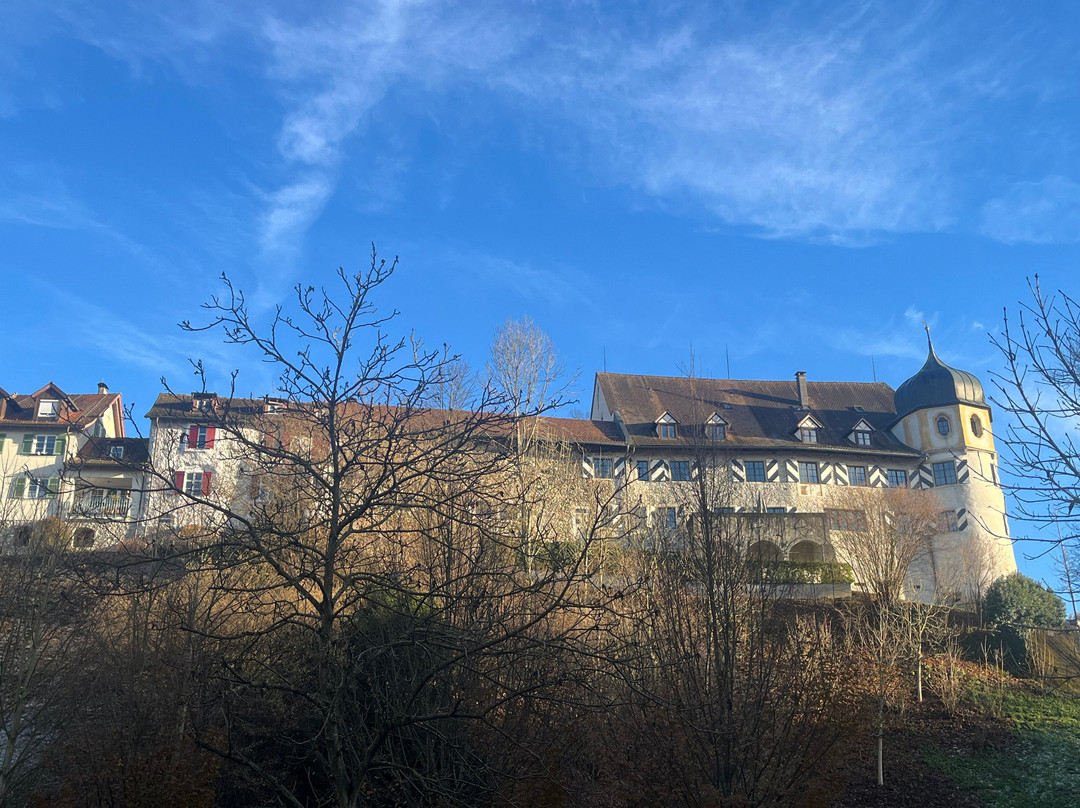 Martinsturm (Tower Of St. Martin)-布雷根兹必去景点