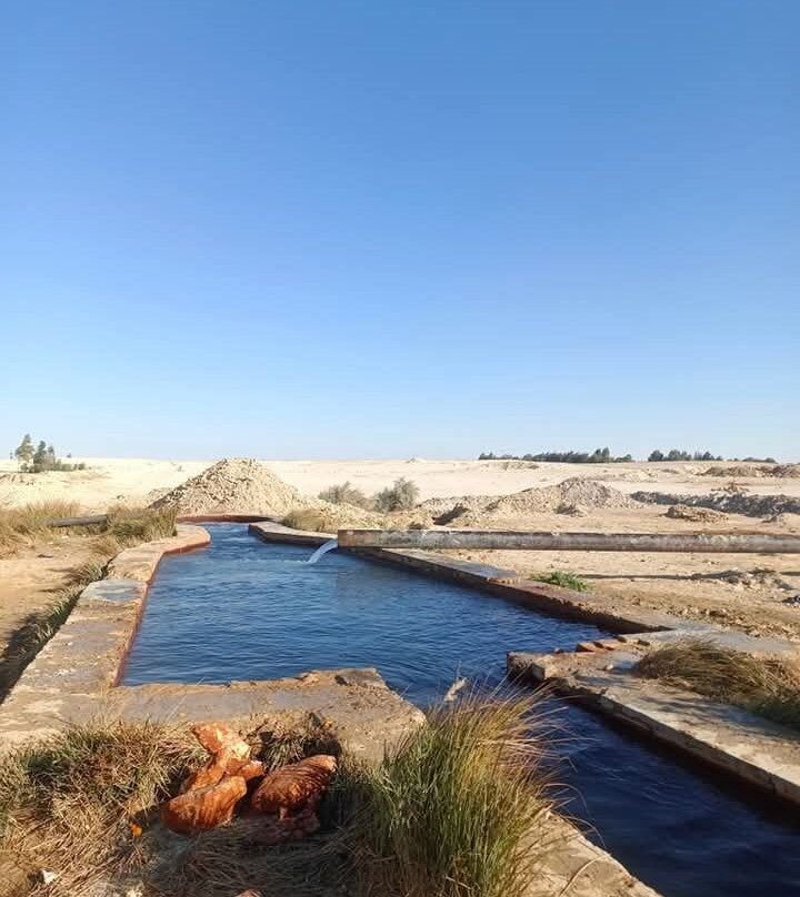 Bahariya Oasis Desert-Bahariya Oasis必去景点