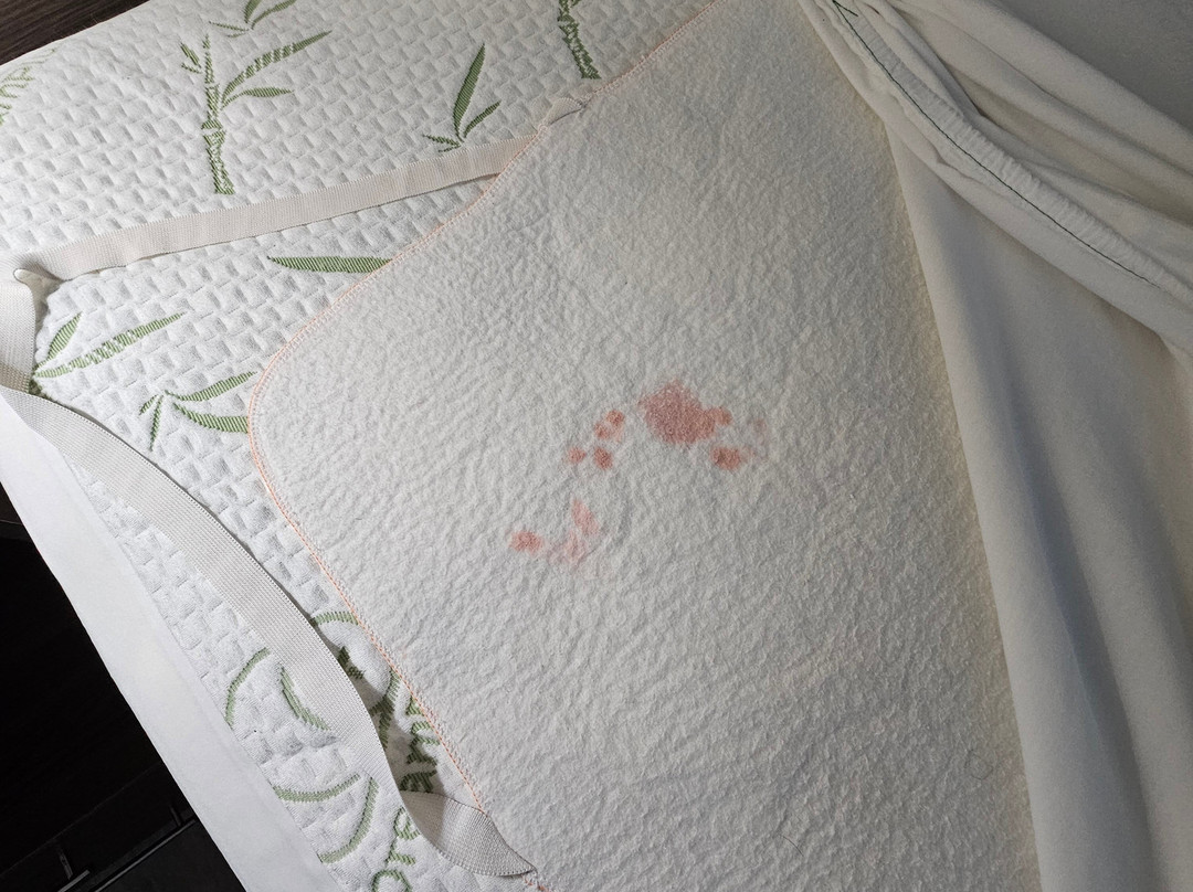 La Quinta Inn & Suites by Wyndham Sevierville / Kodak主图