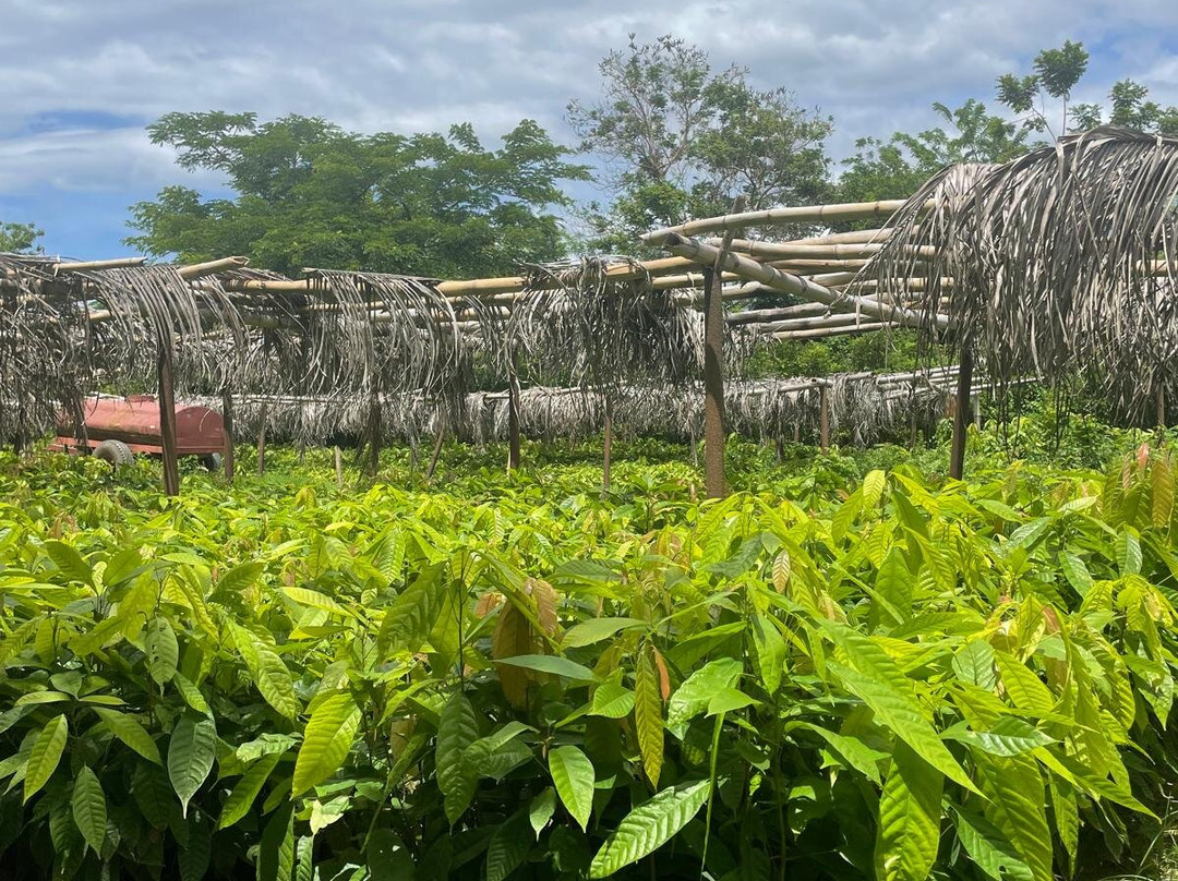 Bitsy Tour-Belamandy必去景点