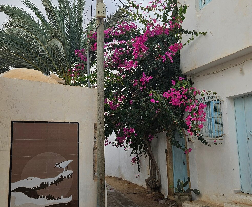 Djerbahood-杰尔巴岛必去景点