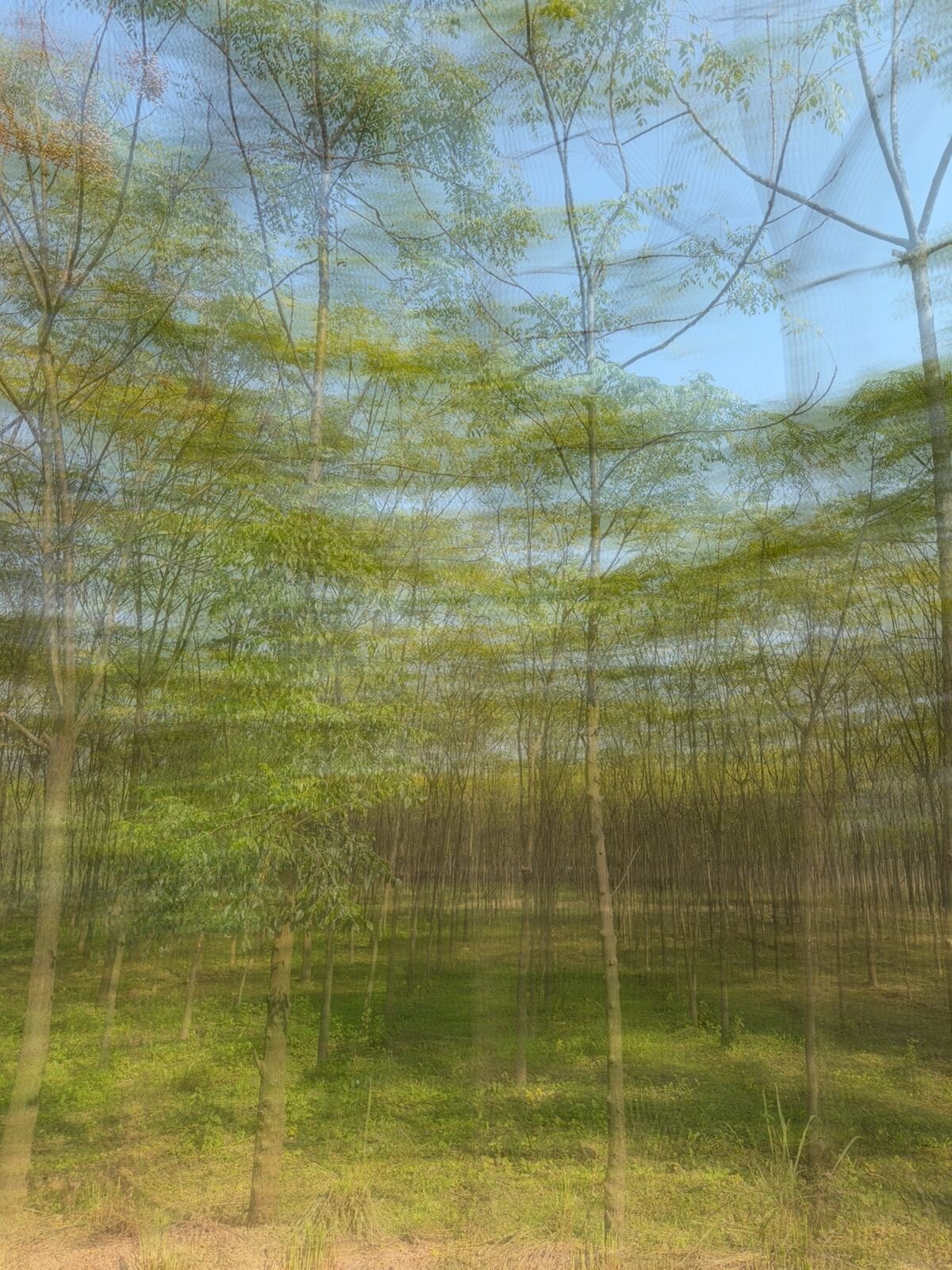 Aalia Jungle Retreat & SPA - Claridges Collection-浴室