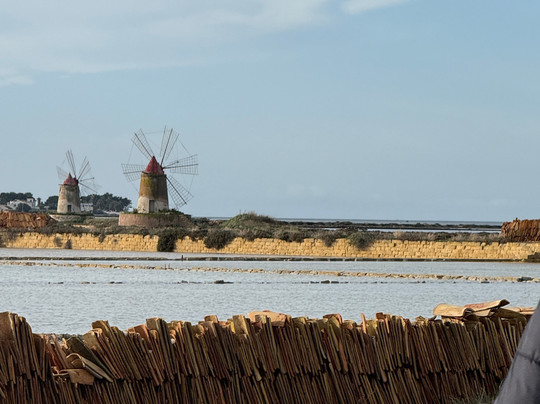 Isola di Mozia (Mothia)/ San Pantaleo-马尔萨拉必去景点