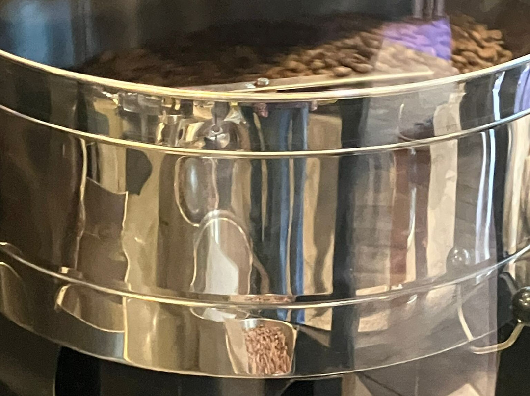 The Chocolate Line - Dominique Persoone-安特卫普必去景点