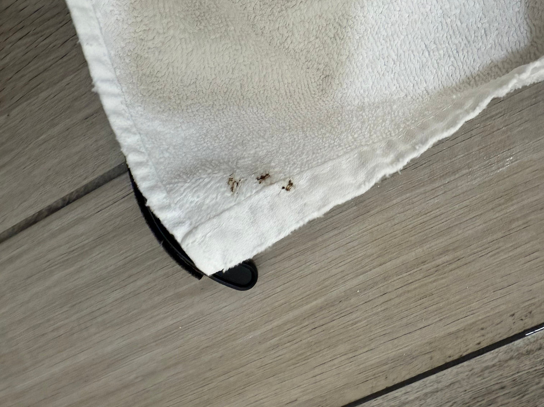 Best Western West Lebanon- Hanover Hotel主图