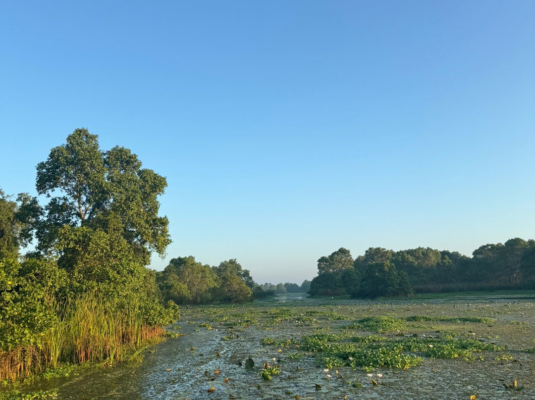 Kalametiya Bird Watching-唐卡拉必去景点