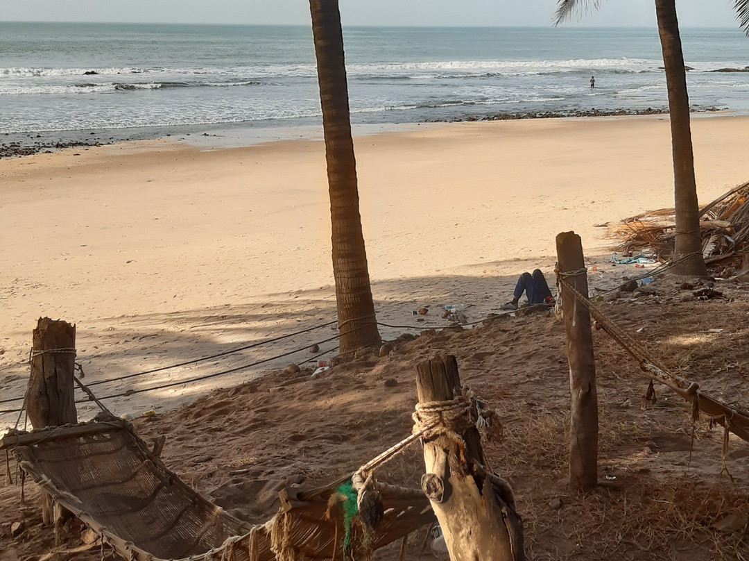 Gambia and Senegal tours with Ebrima-Tanji必去景点