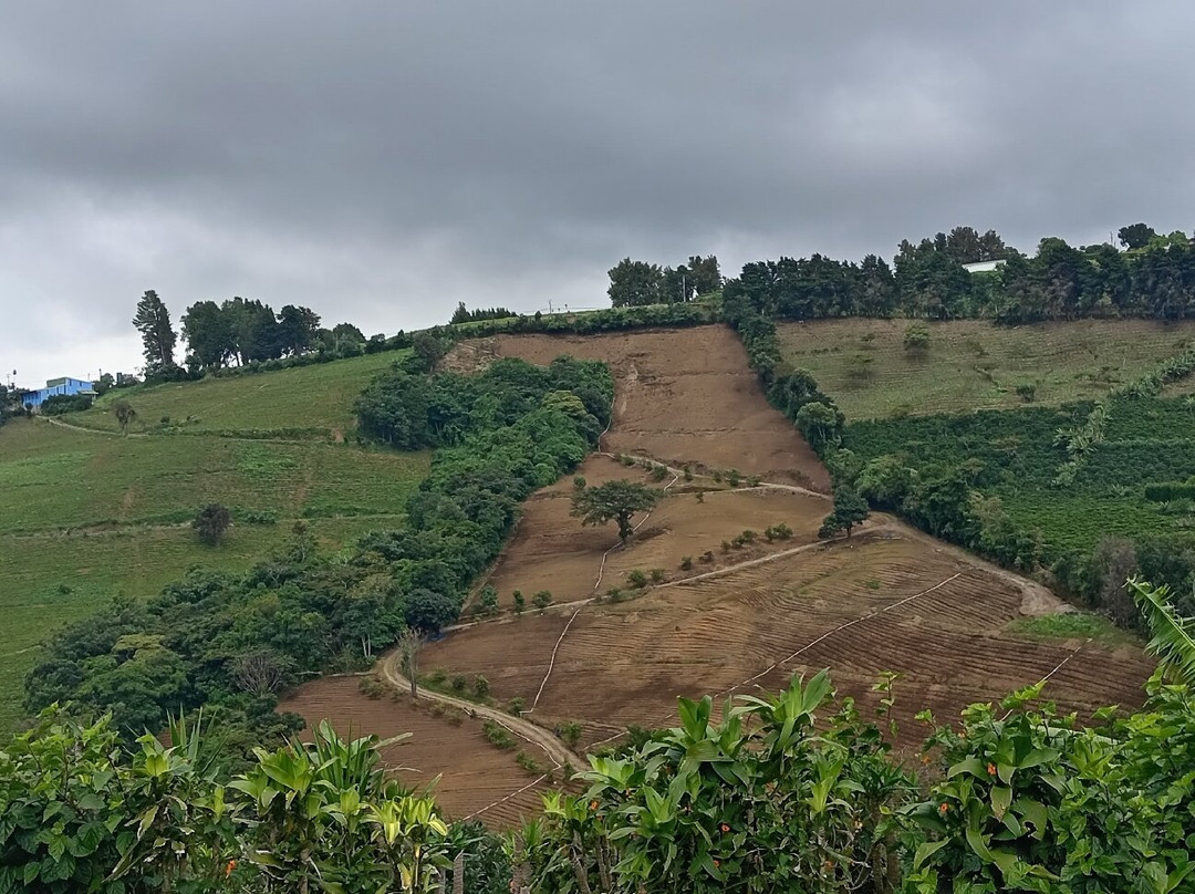 Costa Rica's Senor Scissorhands Topiary-Zarcero必去景点