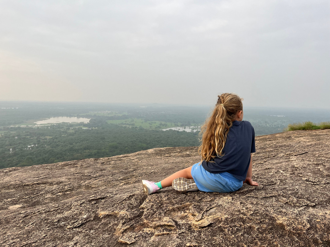 Absolute Lanka Tours-科伦坡必去景点