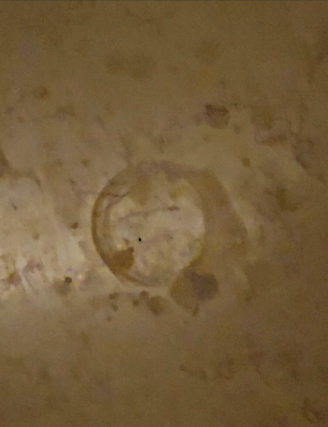 Fairmont Baku, Flame Towers-官方