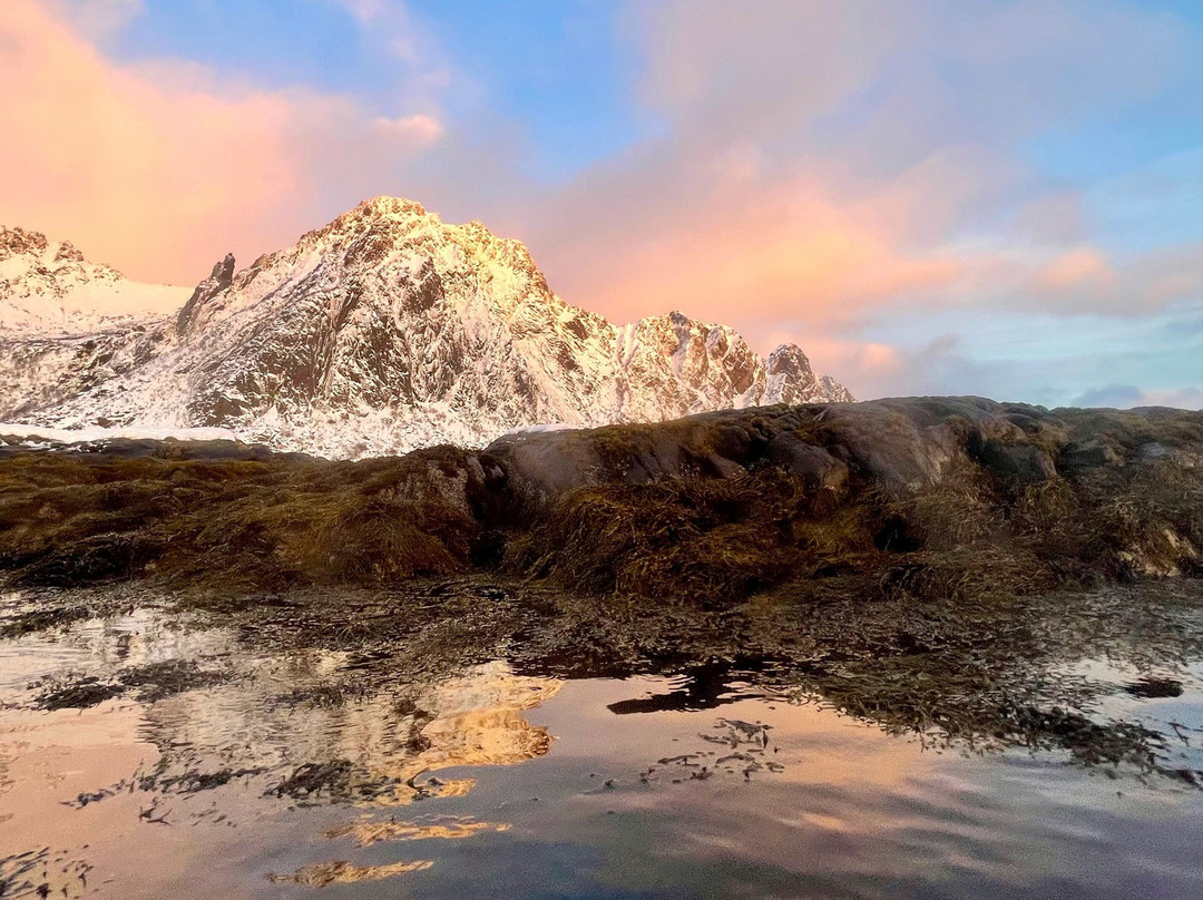 XXLofoten-斯沃尔韦尔必去景点