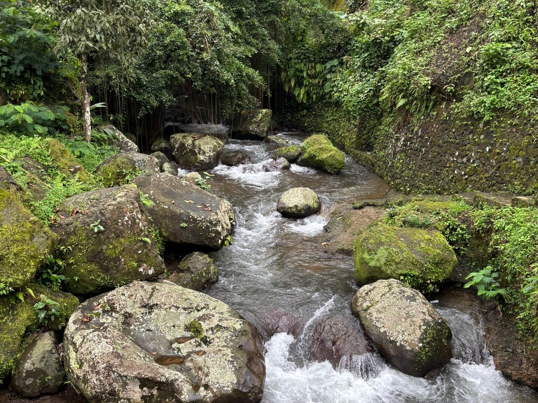 古农卡威斯巴图圣泉寺-Sebatu必去景点
