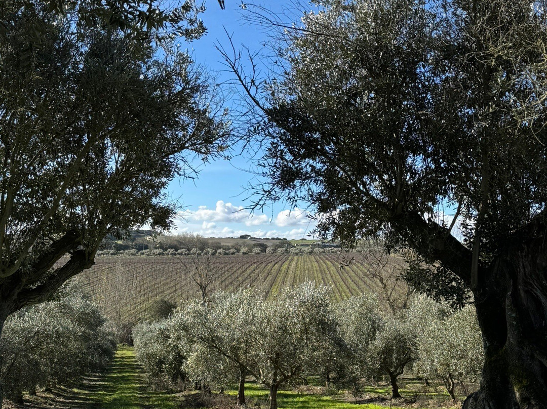 Mainova-Vimieiro必去景点