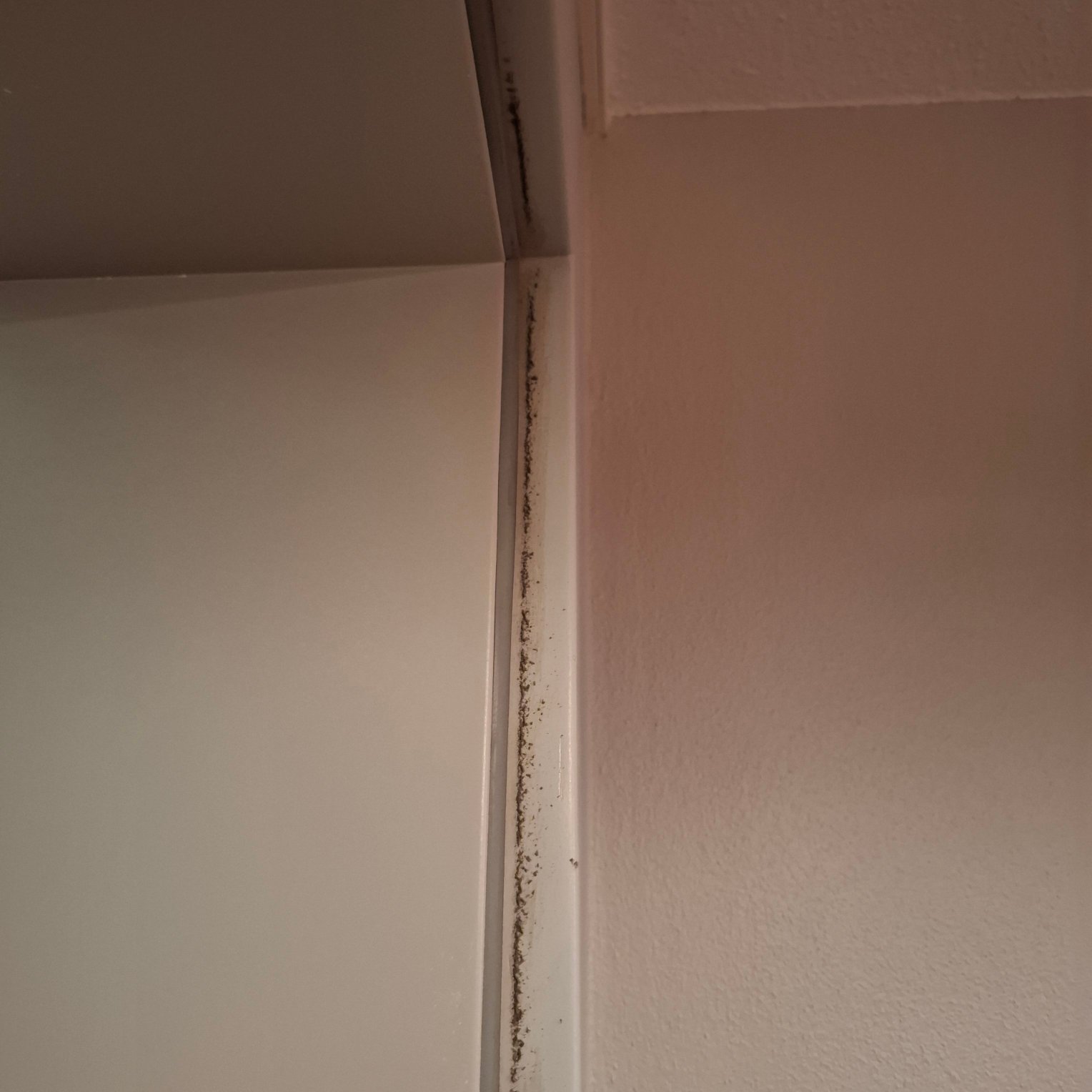 爱尔福特老城区美居酒店-官方