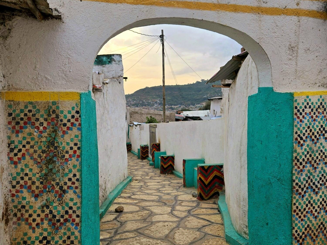 Edom Harar Tours & Car Rentals-哈勒尔必去景点