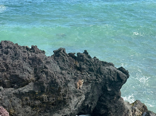 The Wall of Tears-维里亚米尔港必去景点