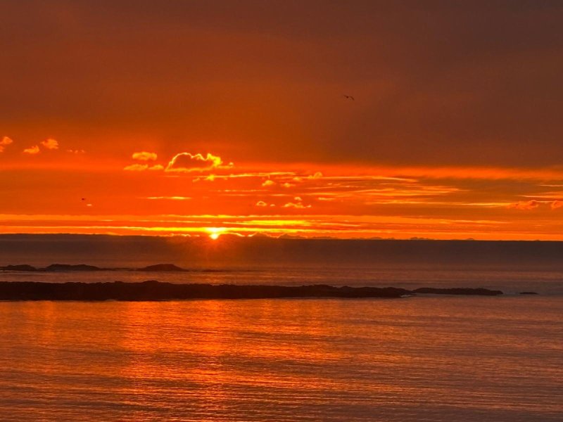 Cardigan Bay Guest House-官方