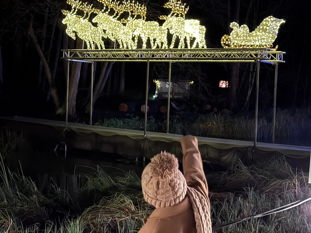 Audley End Miniature Railway-Saffron Walden必去景点