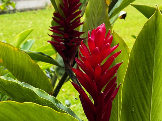 Highlander Hotel & Apartments主图