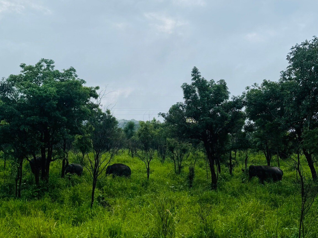 Kumar and Sons Tours Sri Lanka-尼甘布必去景点