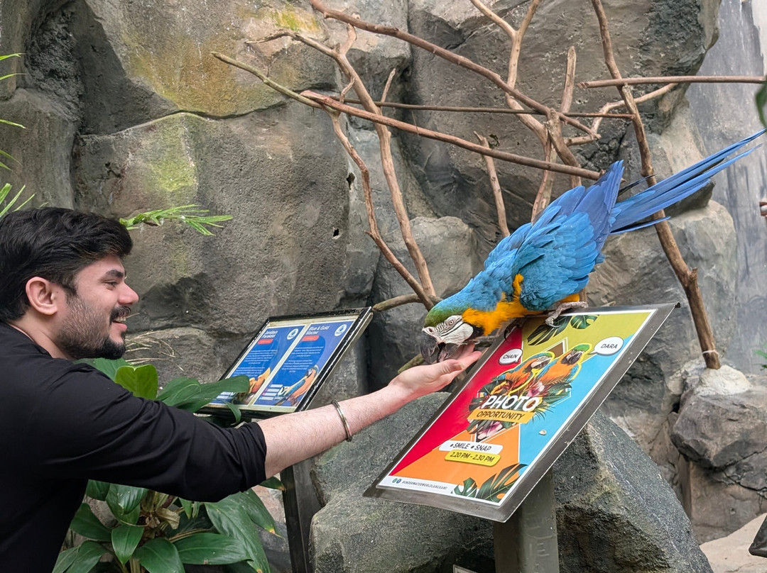 Blu Odyssey-布莱尔港必去景点