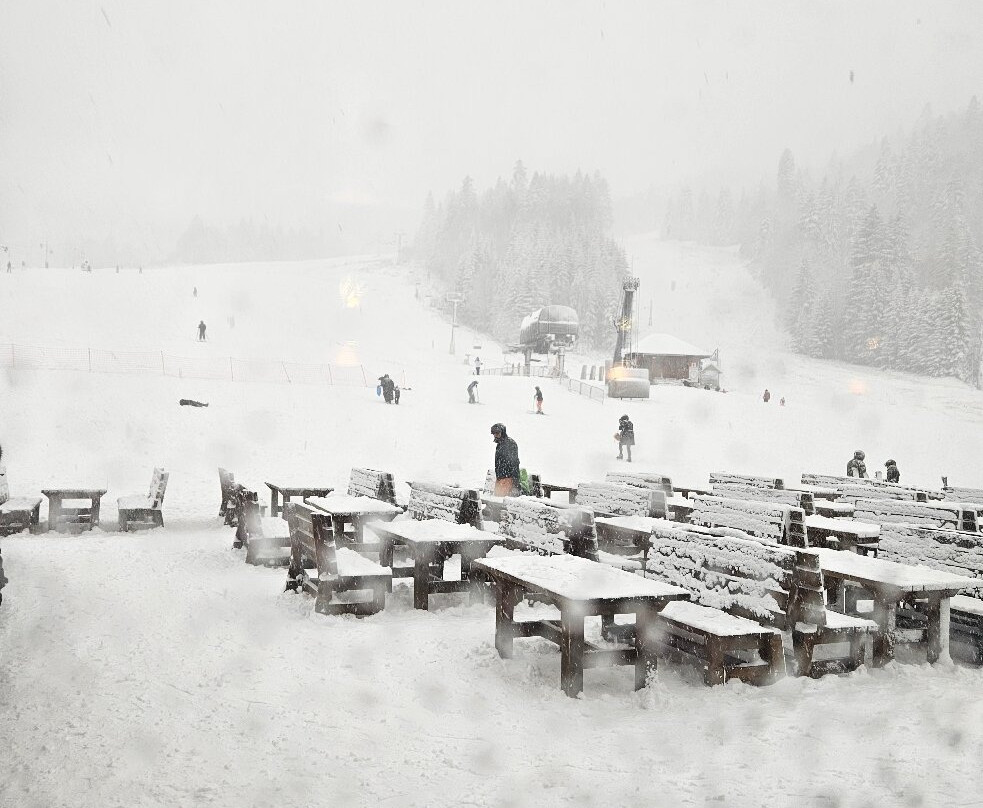 Ski Center Kolasin 1450-Kolasin必去景点