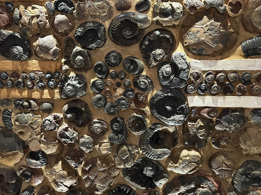 Museo El Fosil-莱瓦镇必去景点