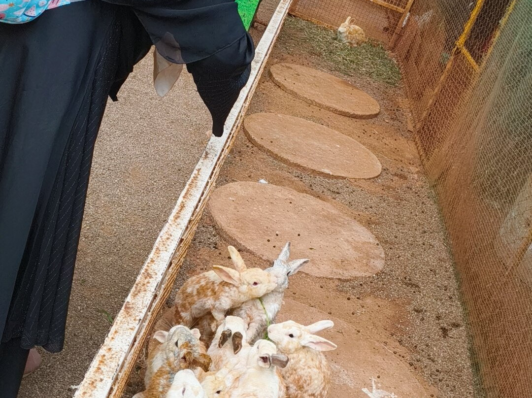 Cloud Forest Entertainment Park-Yelagiri必去景点