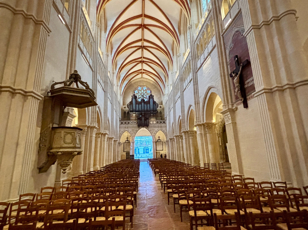 Cathédrale Saint Vincent-索恩河畔沙隆必去景点