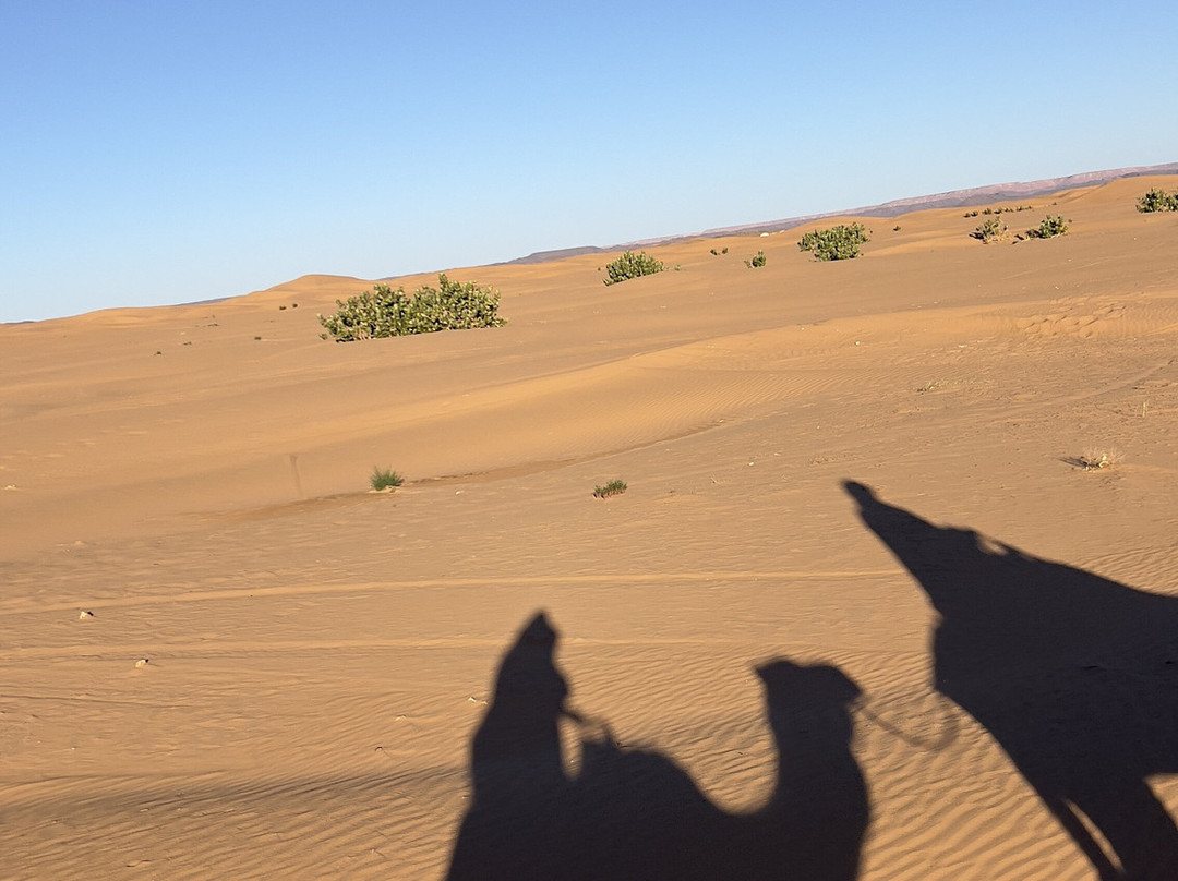 Make Morocco Tours-丹吉尔必去景点