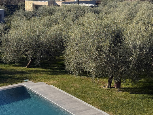 La Cipressina B&B主图