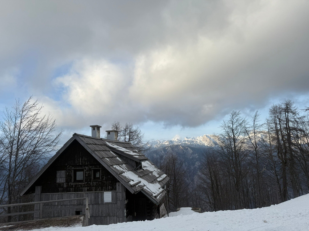 Vogel Ski Center-博希尼湖必去景点
