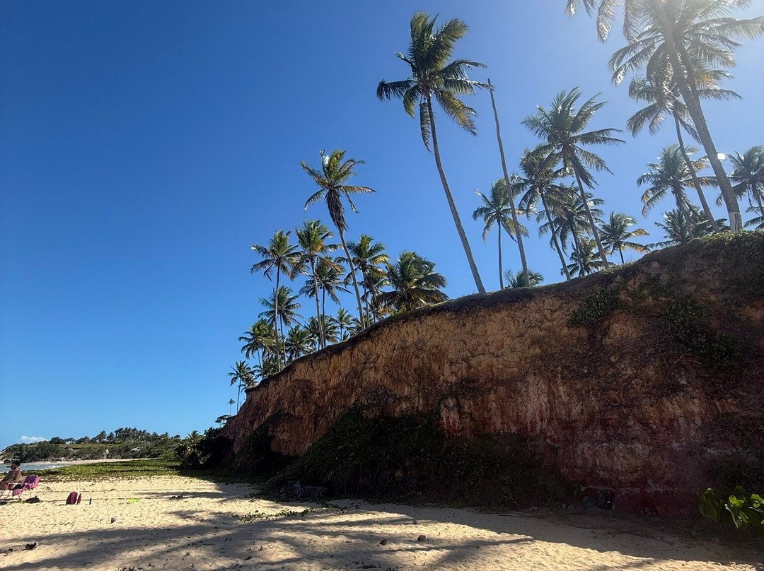 Imbassuaba Beach (Arnaldo)-Cumuruxatiba必去景点