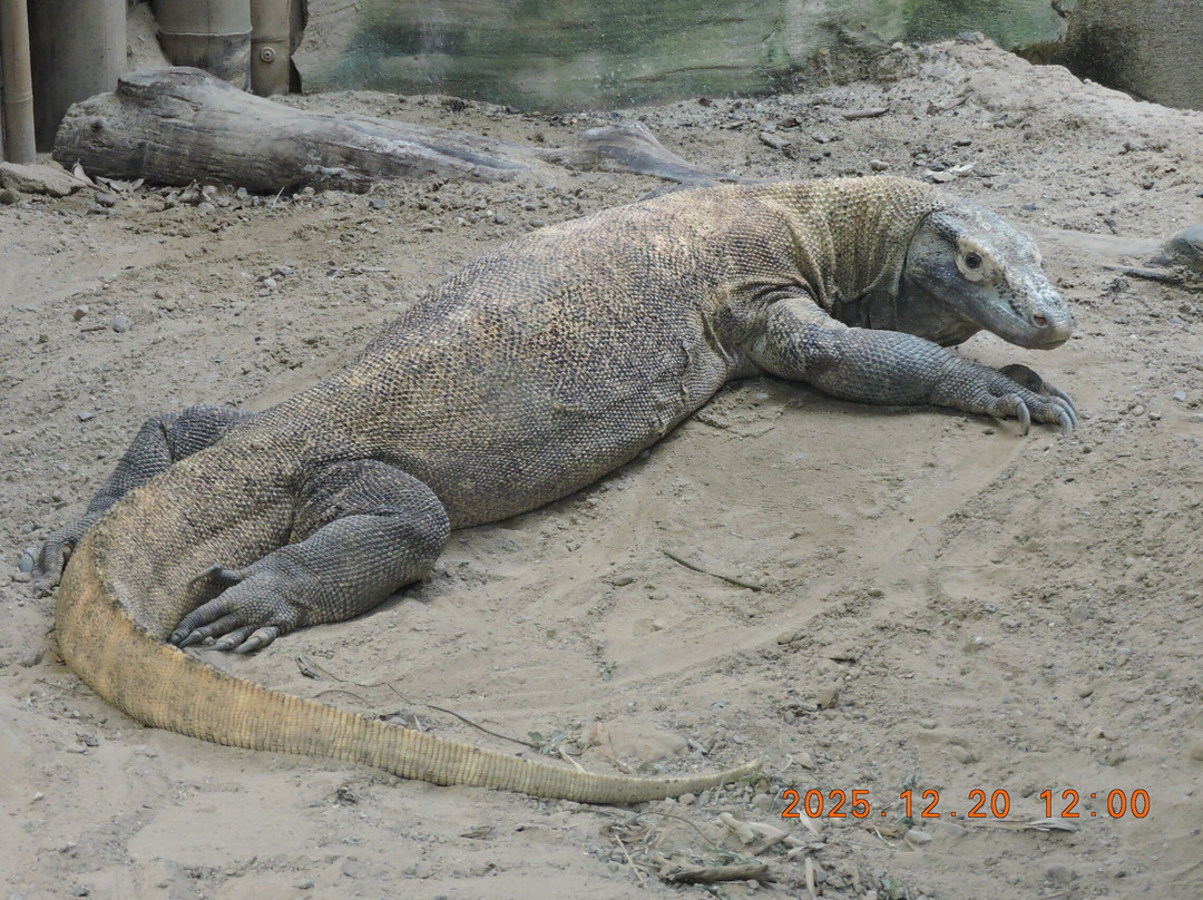 Zoo Leipzig-莱比锡必去景点