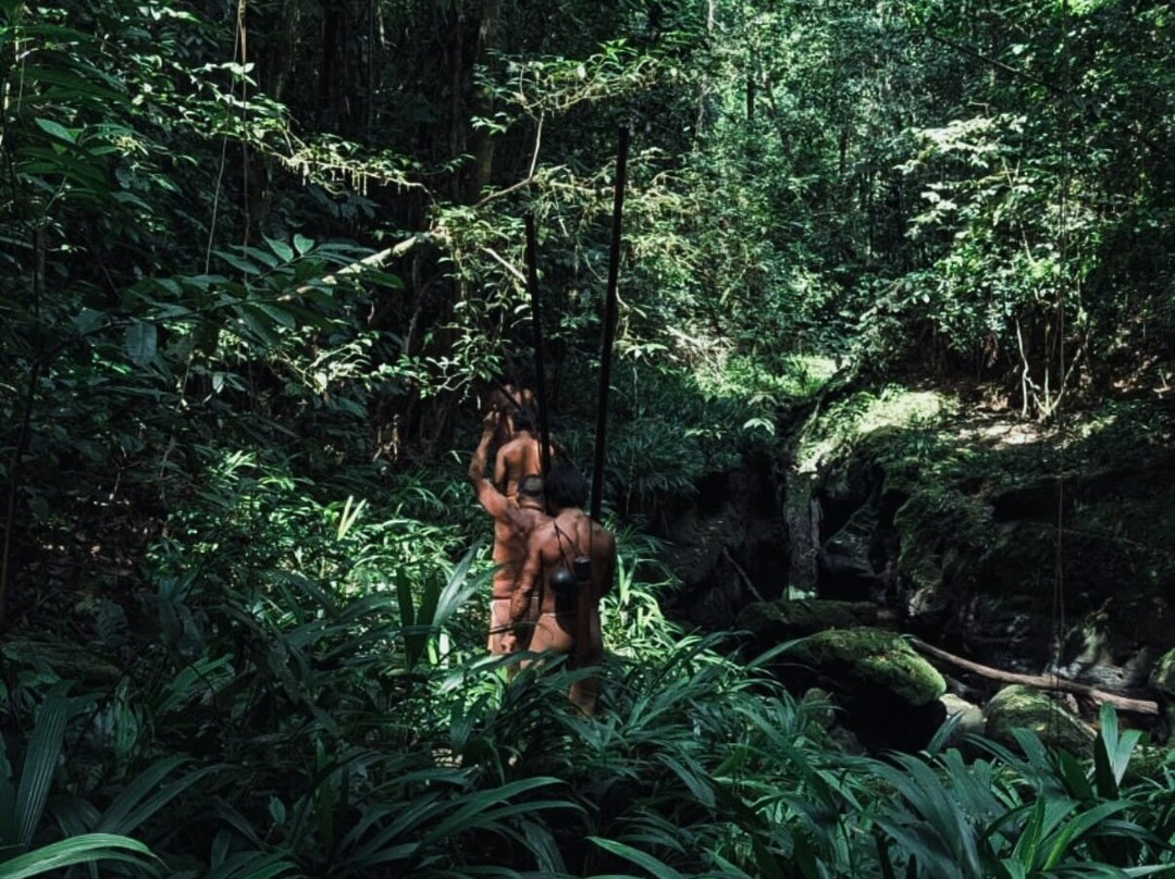 Henry Eco Tours-Coca必去景点