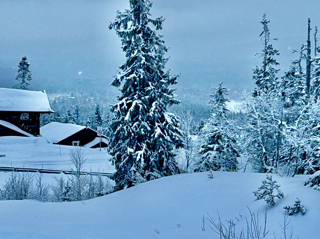 Skistar Trysil-特吕西尔市必去景点