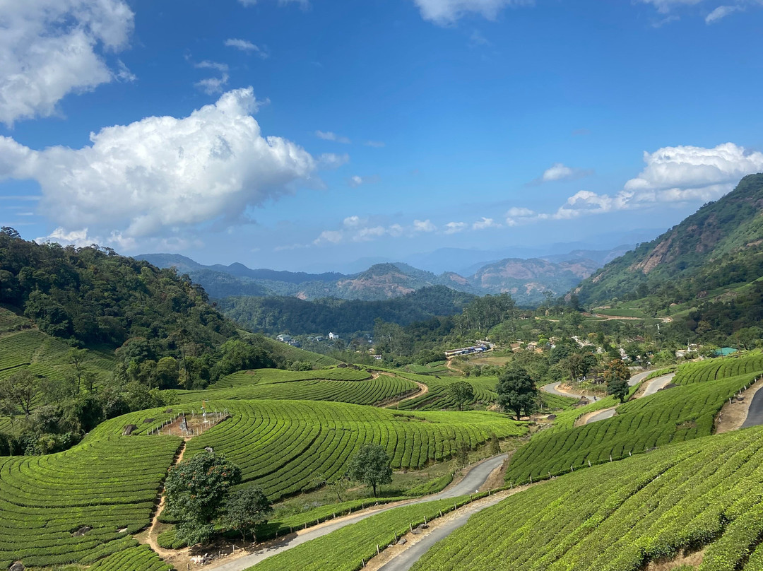 Munnar Info-慕那尔必去景点