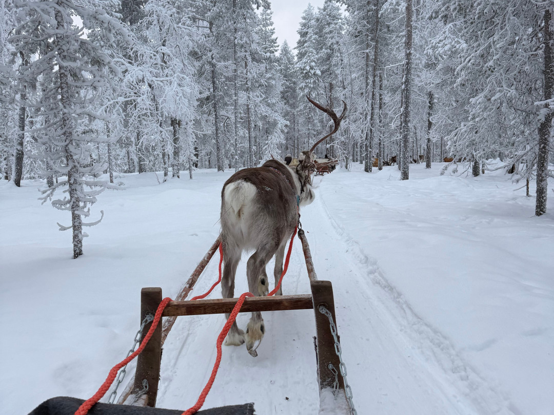 Eanan Levi Tours-Levi必去景点