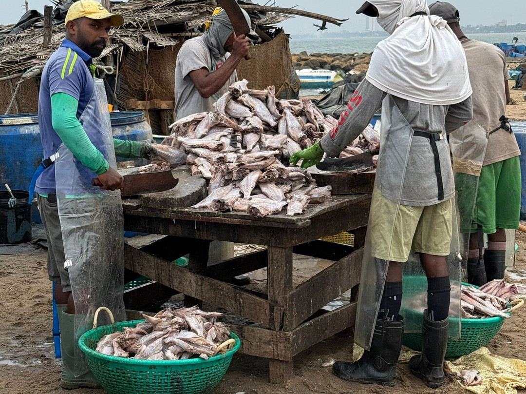 Luxurious Lanka-Ekala必去景点