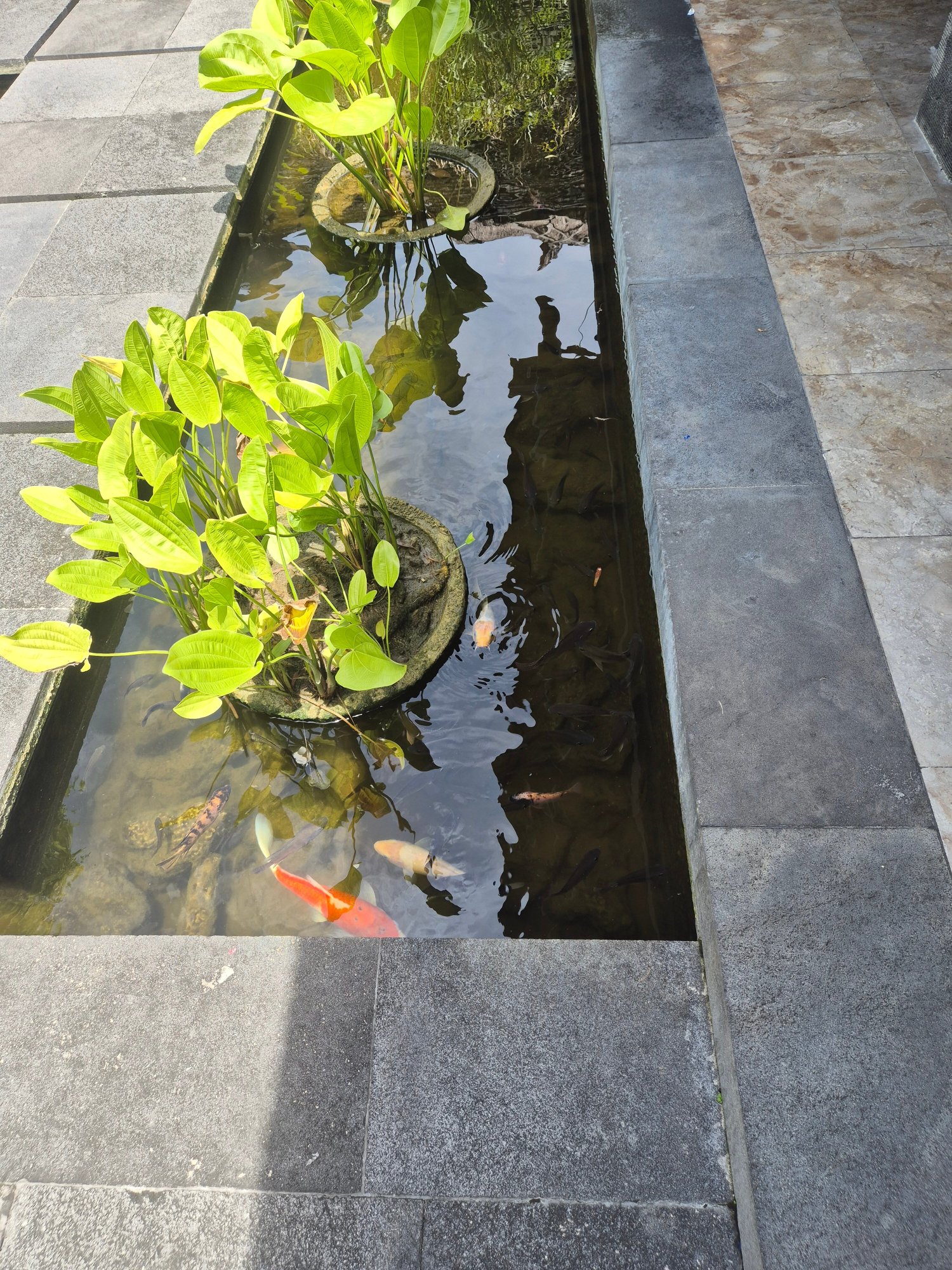 圣淘沙私人别墅-客卧