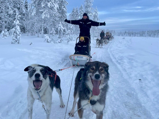 Era-Susi Huskies - Day Tours-Rukatunturi必去景点