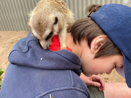 Ballarat Wildlife Park-巴拉瑞特必去景点