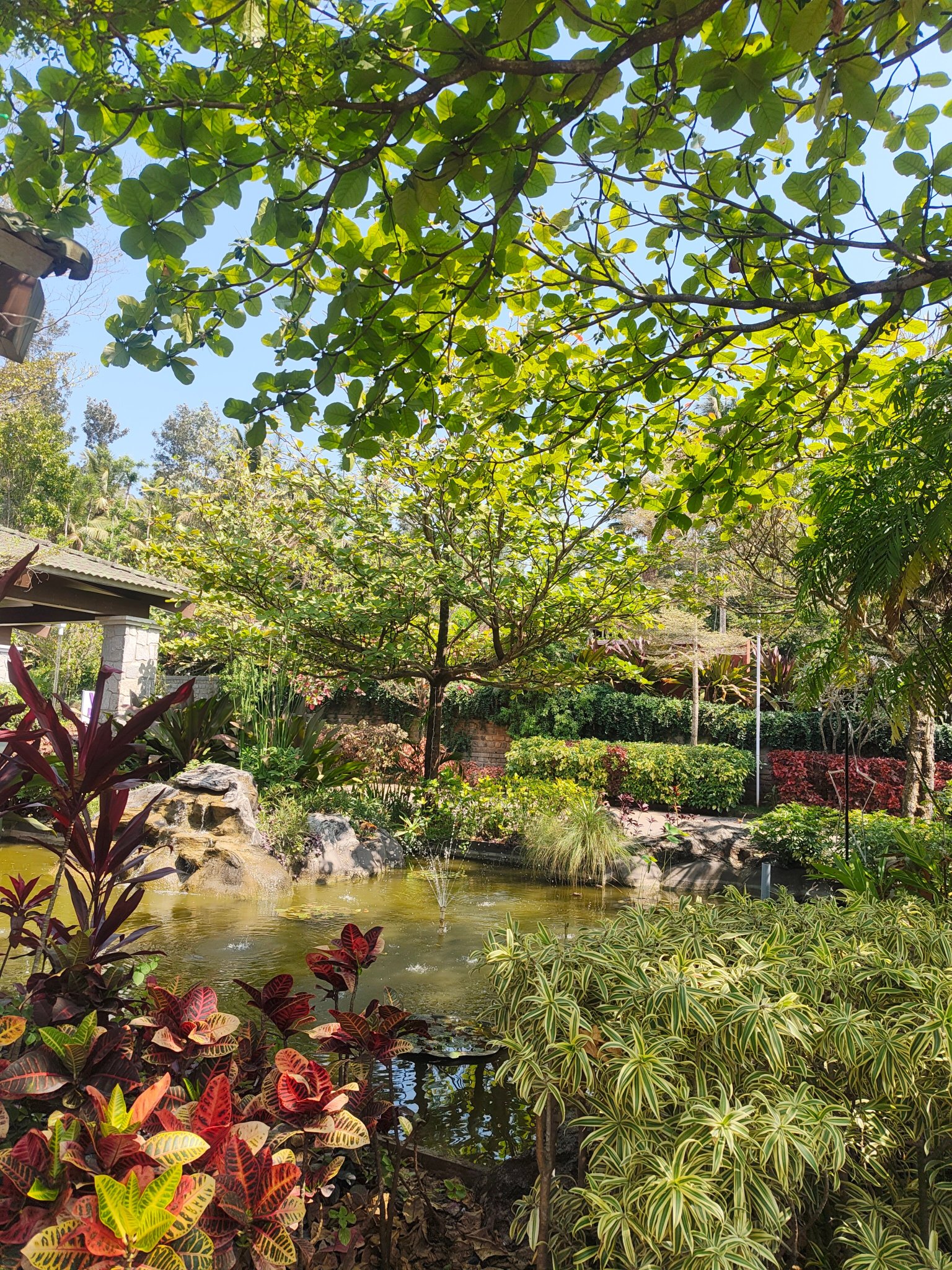 Purple Palms Resort & Spa, Coorg-官方