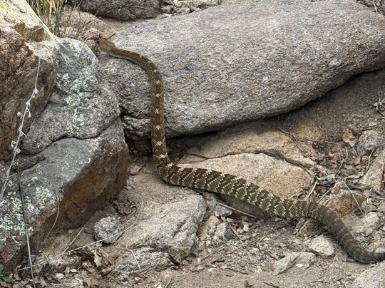 Constellation Trails-普雷斯科特必去景点