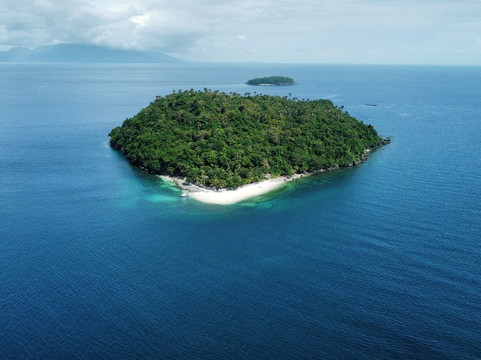 Coral Reef Safari - Verde Island Passage-葡多咖蕾拉必去景点