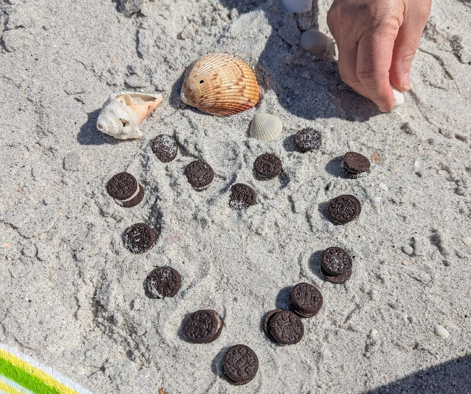 Gasparilla Island State Park-Boca Grande必去景点