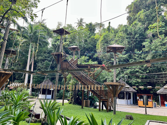 Harrison's Cave Eco-Adventure Park-Saint Thomas Parish必去景点