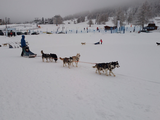 The Husky Experience Sestriere-Sestriere必去景点